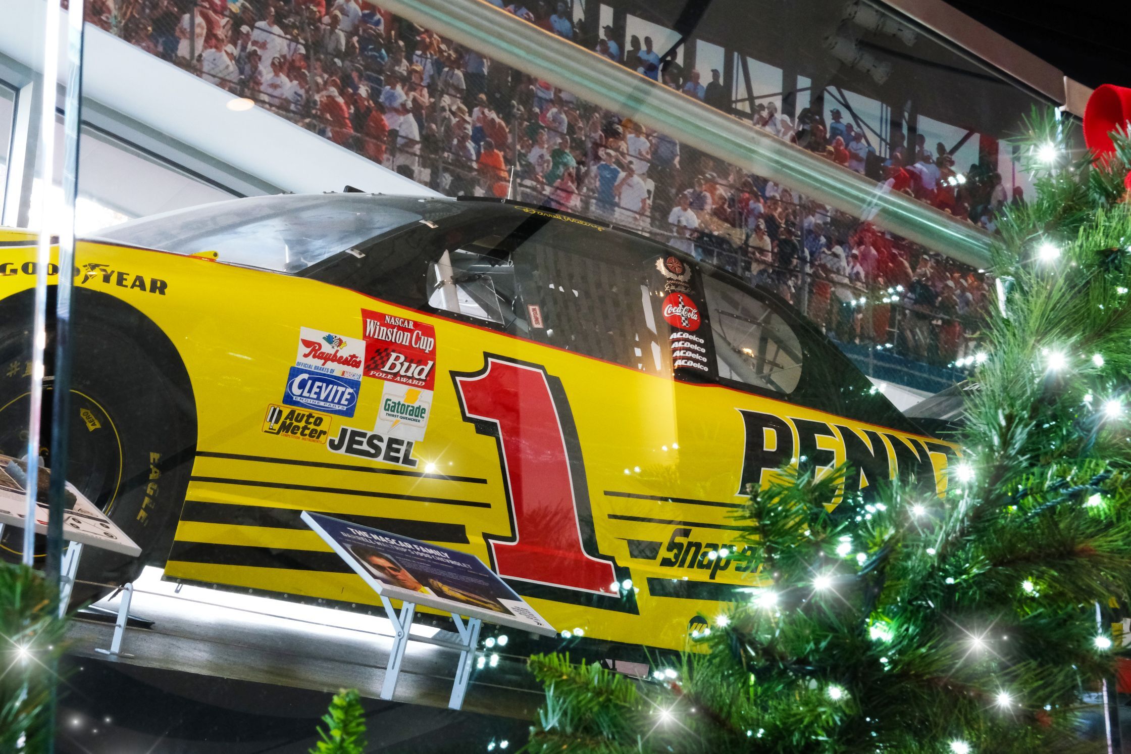 Winter Break Programming